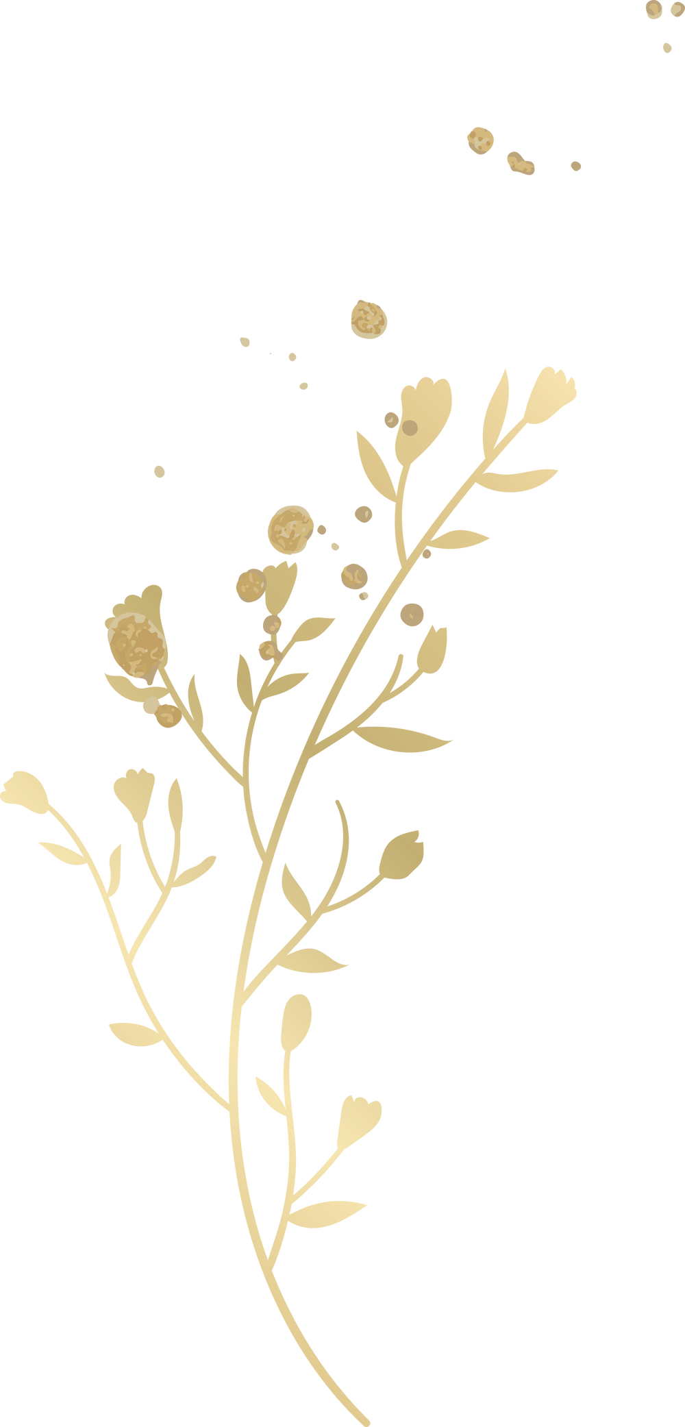 Gold leaf branch illustration